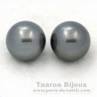 Lot of 2 Tahitian Pearls Round C 12.5 mm