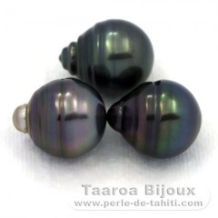 Lot of 3 Tahitian Pearls Ringed C from 12.5 to 12.7 mm