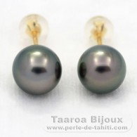 18K solid Gold Earrings and 2 Tahitian Pearls Round 1 A & 1 B 8.4 mm