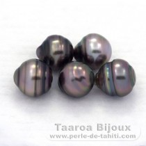 Lot of 5 Tahitian Pearls Ringed C from 8.5 to 8.8 mm