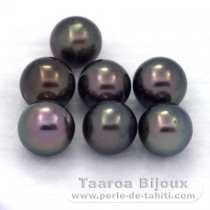 Lot of 7 Tahitian Pearls Round C from 8 to 8.3 mm