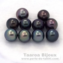 Lot of 10 Tahitian Pearls Round C from 8 to 8.3 mm
