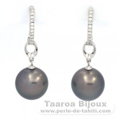 Rhodiated Sterling Silver Earrings and 2 Tahitian Pearls Round B/C 11.3 mm