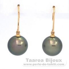 18K solid Gold Earrings and 2 Tahitian Pearls Round C+ 11.3 and 11.4 mm