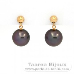 18K solid Gold Earrings and 2 Tahitian Pearls Round 1 B & 1 C 9.7 and 9.8 mm