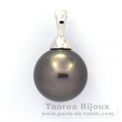 Rhodiated Sterling Silver Pendant and 1 Tahitian Pearl Round C 11.3 mm