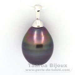 Rhodiated Sterling Silver Pendant and 1 Tahitian Pearl Ringed B 12 mm