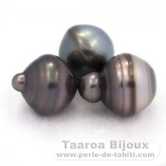 Lot of 3 Tahitian Pearls Ringed C from 13 to 13.4 mm