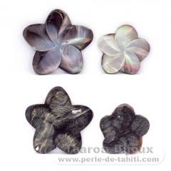 4 Tahitian mother-of-pearl shapes - 30 to 40 mm diameter