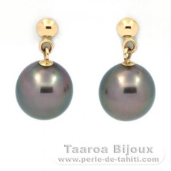 18k solid Gold Earrings and 2 Tahitian Pearls Near-Round B 8.1 mm