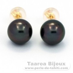18K solid Gold Earrings and 2 Tahitian Pearls Round C 8.1 mm