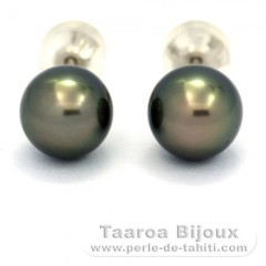 Rhodiated Sterling Silver Earrings and 2 Tahitian Pearls Round B/C 8.6 mm