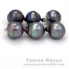Lot of 6 Tahitian Pearls Ringed D from 13 à 13.4 mm