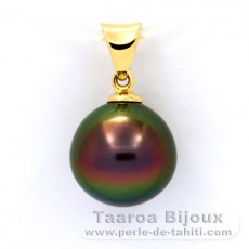 18K solid Gold Pendant and 1 Tahitian Pearl Near-Round B+ 10.3 mm