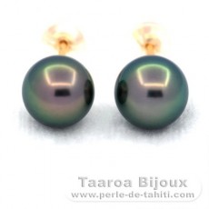 18K solid Gold Earrings and 2 Tahitian Pearls Round A & B 8.5 mm
