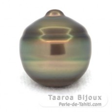 Tahitian Pearl Ringed C 14.7 mm