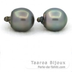 Lot of 2 Tahitian Pearls Semi-Baroque C 13.5 and 13.7 mm