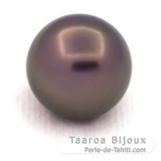 Tahitian Pearl Round C 14.1 mm