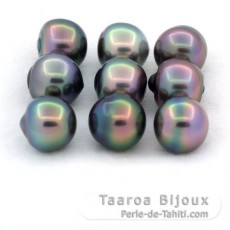 Lot of 9 Tahitian Pearls Semi-Baroque B+ from 9.5 to 9.8 mm