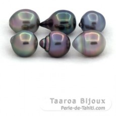 Lot of 6 Tahitian Pearls Ringed B/C from 10 to 10.4 mm