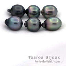 Lot of 6 Tahitian Pearls Semi-Baroque B/C from 11.5 to 11.9 mm