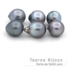 Lot of 6 Tahitian Pearls Semi-Baroque B from 11.1 to 11.4 mm