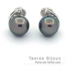 Rhodiated Sterling Silver Earrings and 2 Tahitian Pearls Round C 10.4 mm