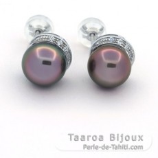 Rhodiated Sterling Silver Earrings and 2 Tahitian Pearls Semi-Baroque B 9.7 mm