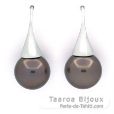 Rhodiated Sterling Silver Earrings and 2 Tahitian Pearls Round C 11.9 mm