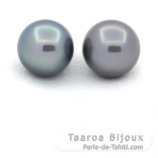 Lot of 2 Tahitian Pearls Round C 11.7 and 11.9 mm