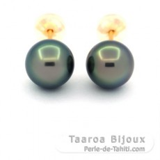 18K solid Gold Earrings and 2 Tahitian Pearls Round B/C 8.1 mm