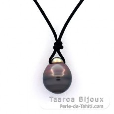 Leather Necklace and 1 Tahitian Pearl Ringed C 11.6 mm