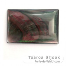Tahitian mother-of-pearl rectangle shape - 20 x 15 mm