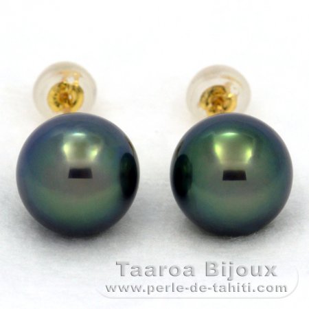 18K solid Gold Earrings and 2 Tahitian Pearls Round C+ 9.9 mm