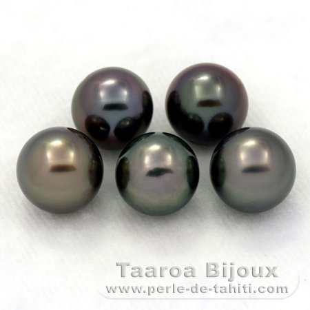 Lot of 5 Tahitian Pearls Round C from 8 to 8.4 mm