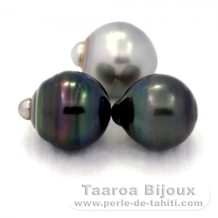 Lot of 3 Tahitian Pearls Ringed C from 12.4 to 12.8 mm