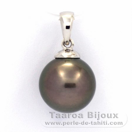 Rhodiated Sterling Silver Pendant and 1 Tahitian Pearl Round C 10.6 mm