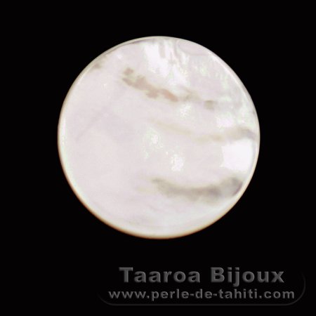 Mother-of-pearl round shape - 12 mm diameter