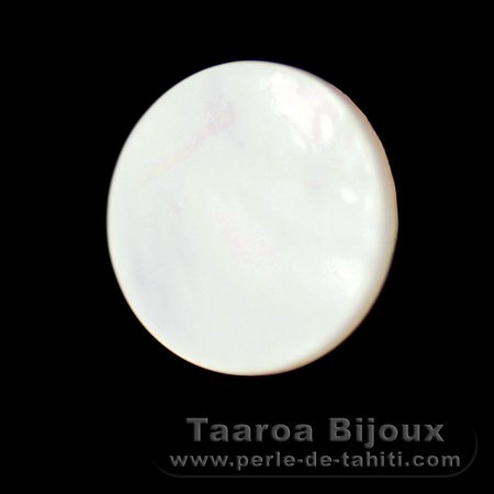 Mother-of-pearl round shape - 12 mm diameter