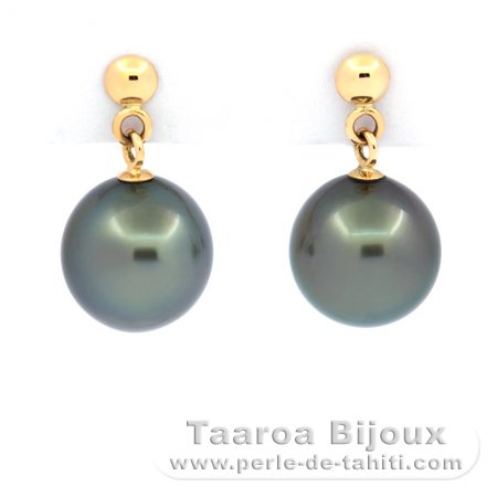 18k solid Gold Earrings and 2 Tahitian Pearls Near-Round B 8.2 mm