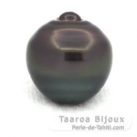 Tahitian Pearl Ringed C 14.3 mm