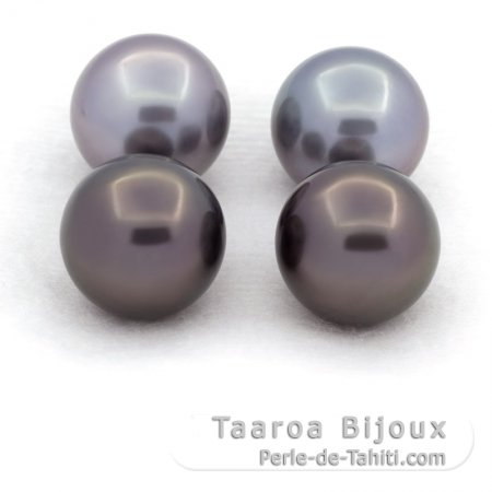 Lot of 4 Tahitian Pearls Round C from 12 to 12.2 mm