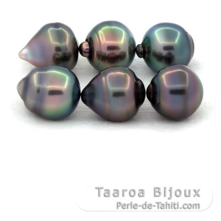 Lot of 6 Tahitian Pearls Ringed B/C from 10.5 to 10.9 mm