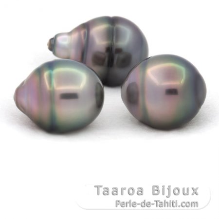 Lot of 3 Tahitian Pearls Ringed B from 11.5 to 11.9 mm