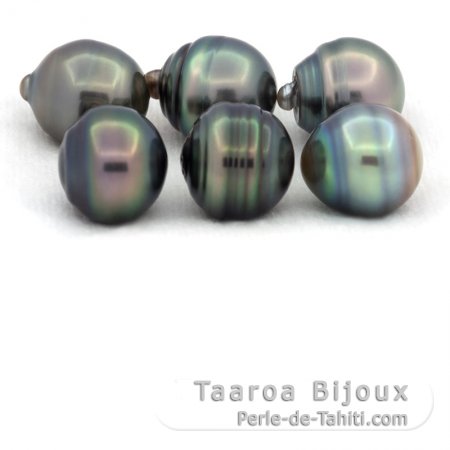 Lot of 6 Tahitian Pearls Ringed C from 12 to 12.3 mm