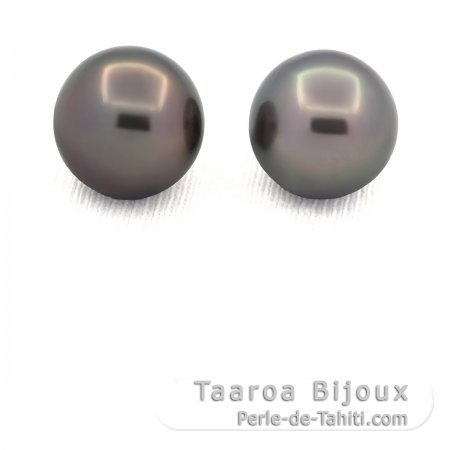 Lot of 2 Tahitian Pearls Round C/D 12.8 mm