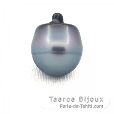 Tahitian Pearl Ringed C 14.6 mm
