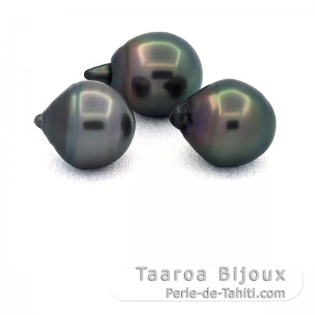 Lot of 3 Tahitian Pearls Ringed C from 11.6 to 11.7 mm