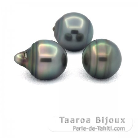 Lot of 3 Tahitian Pearls Ringed C from 11.5 to 11.6 mm