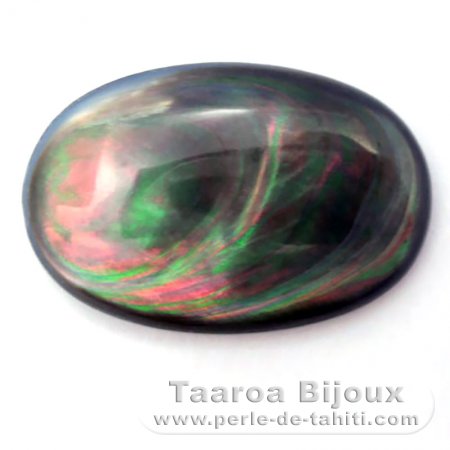 Tahitian Mother-of-pearl oval shape - 30 x 20 x 4 mm